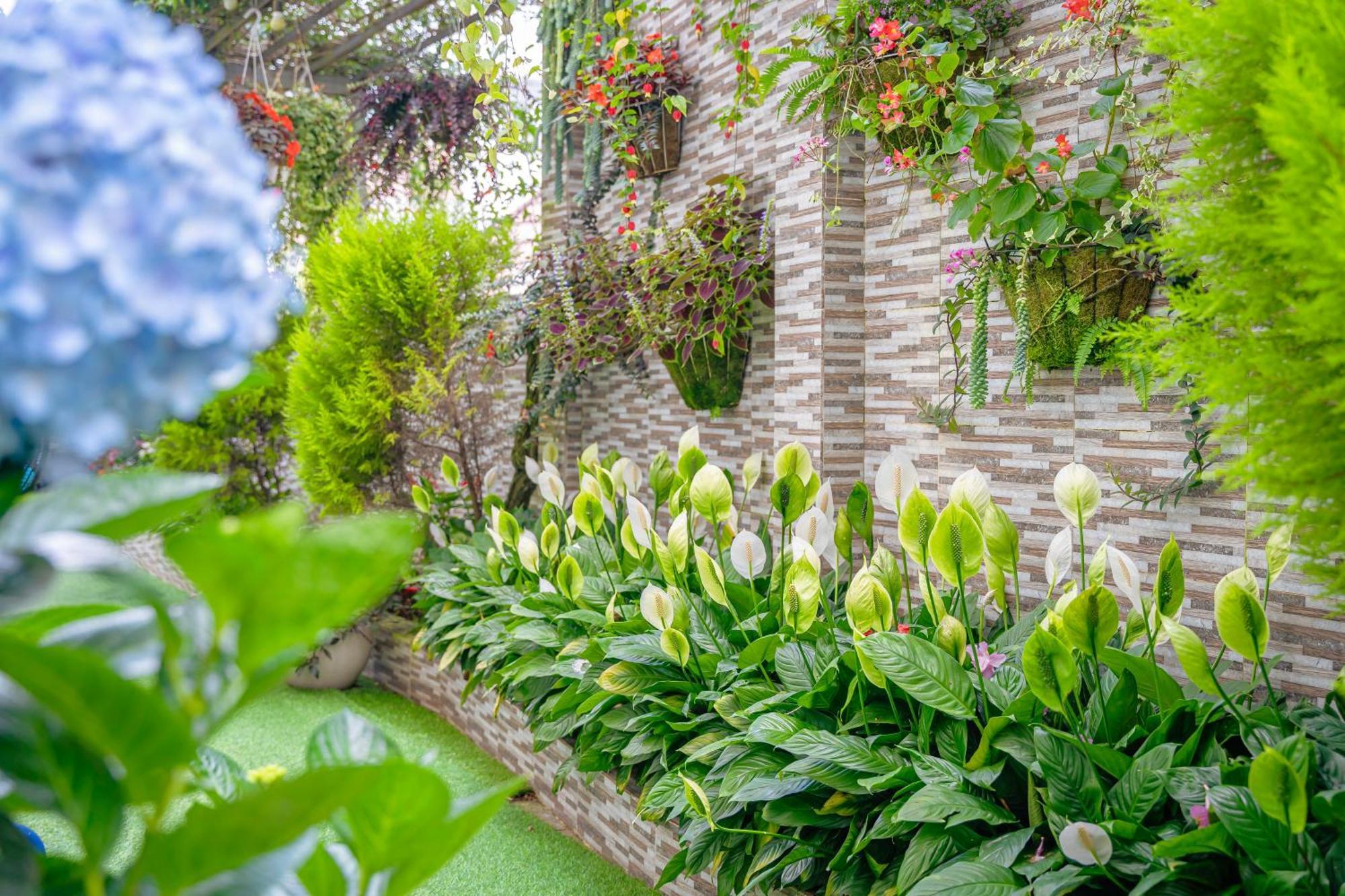 Minh Chien Hotel Далат Экстерьер фото